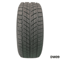 DW09 Pneu Hiver / Winter Tire